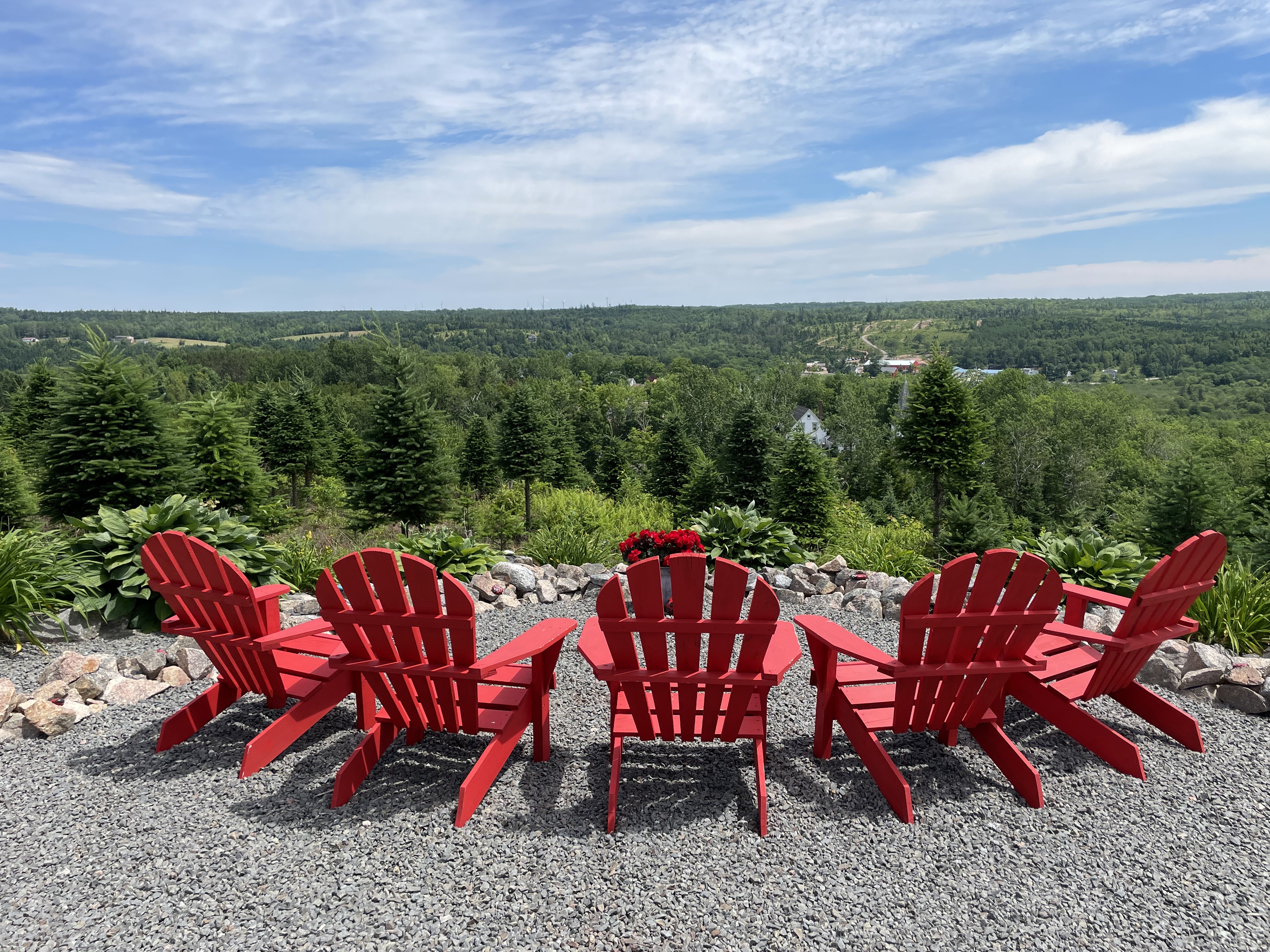 five adirondack chairs overlooking trees and the community of New Ross from Ruby's Trail.